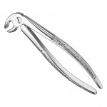 Extracting forceps, engl.